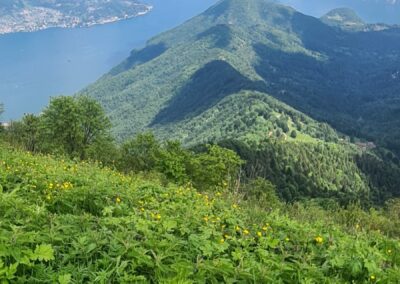 Colma di Sormano - Monte San Primo