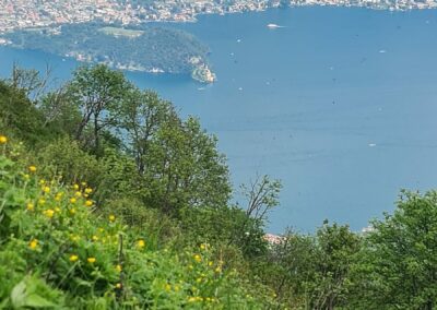 Colma di Sormano - Monte San Primo