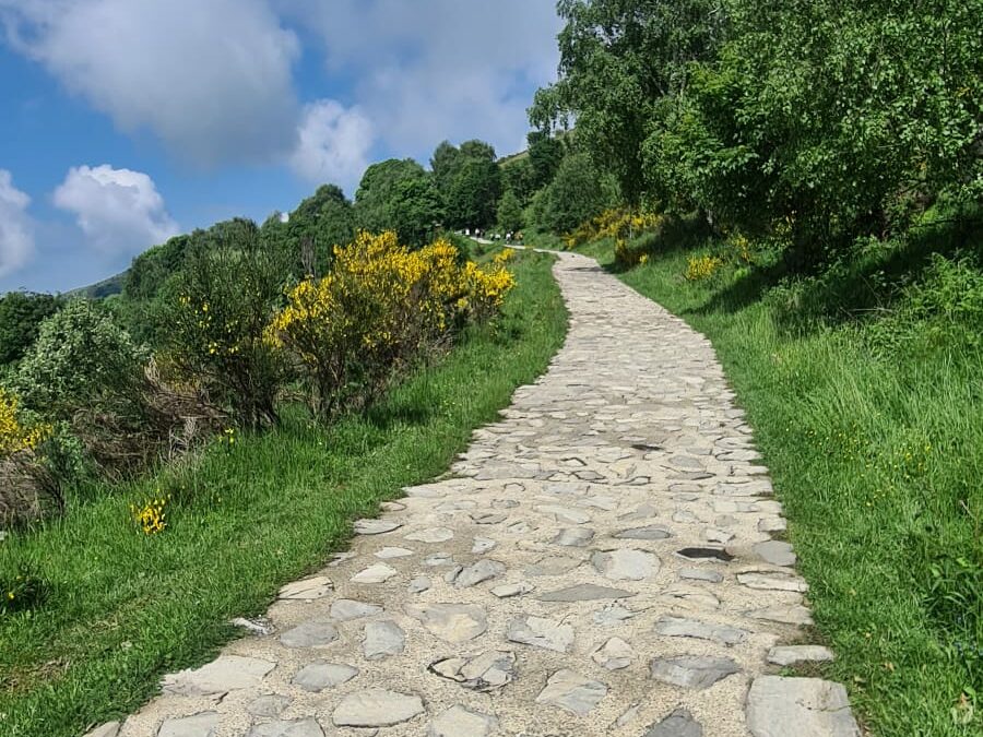 Escursione Colma di Sormano – Monte San Primo