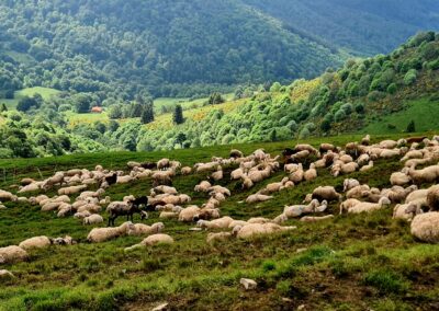 Colma di Sormano - Monte San Primo