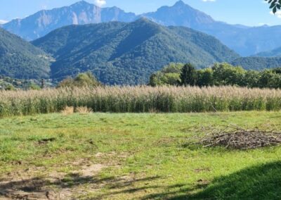 Rezzago funghi di terra cascina Enco Campoe' Caglio percorso Segantini