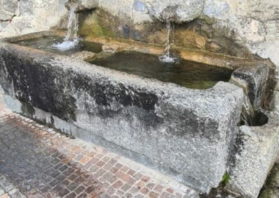 Rezzago funghi di terra cascina Enco Campoe' Caglio percorso Segantini