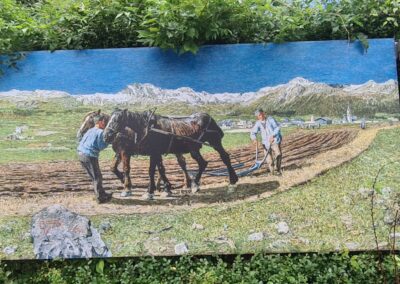 Rezzago funghi di terra cascina Enco Campoe' Caglio percorso Segantini