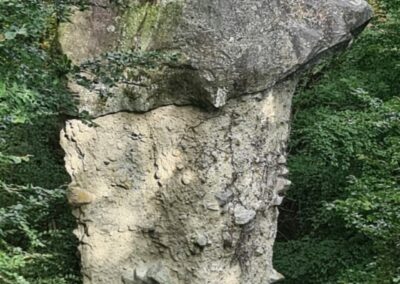 Rezzago funghi di terra cascina Enco Campoe' Caglio percorso Segantini